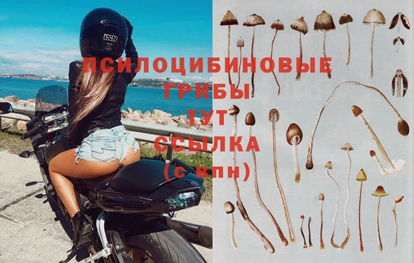 таблы Медногорск