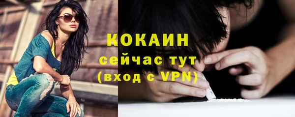 крисы Медвежьегорск