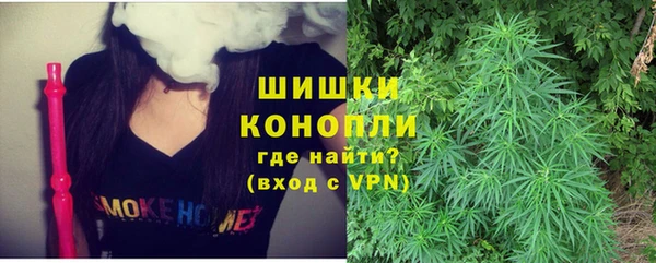 тгк Мегион