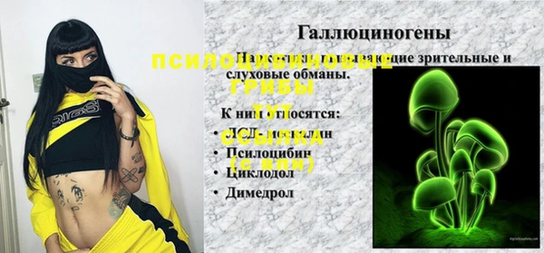 крисы Медвежьегорск
