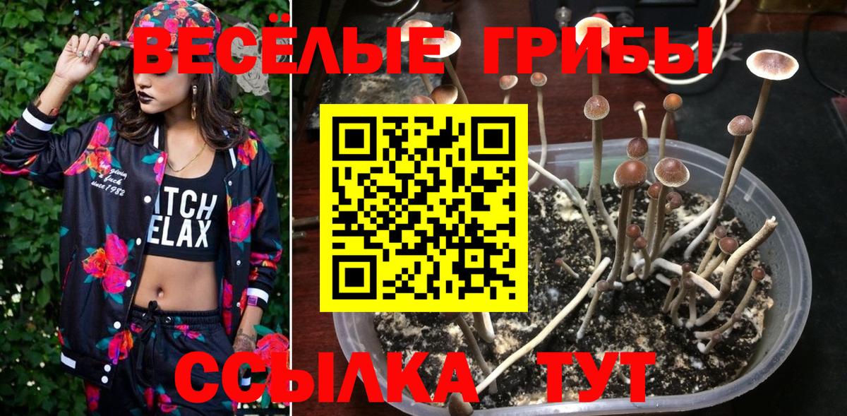 Псилоцибиновые грибы GOLDEN TEACHER Балашиха