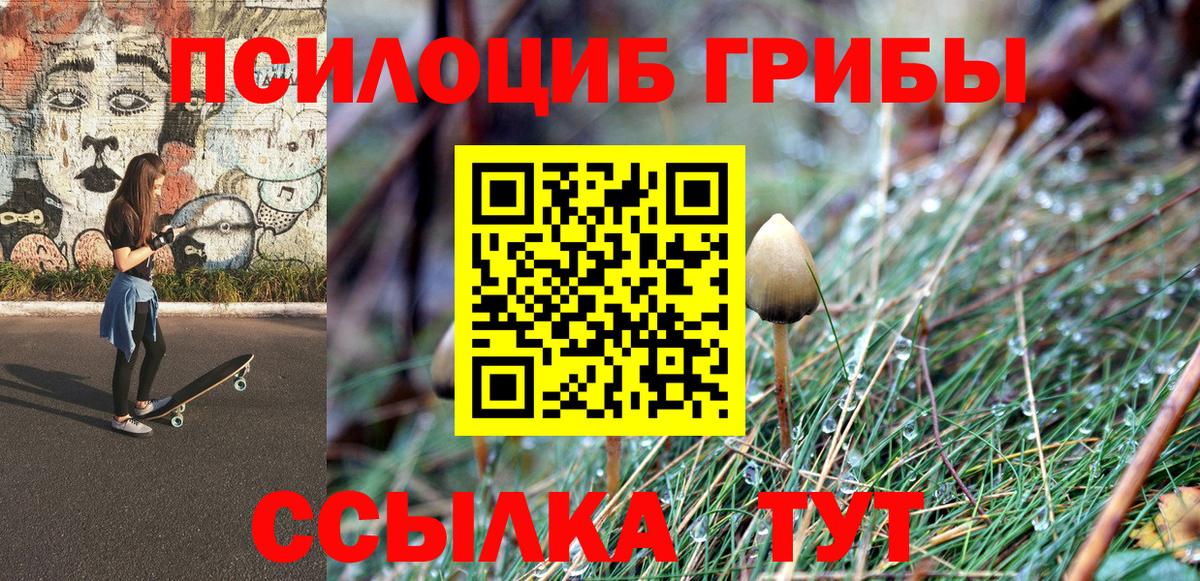 Псилоцибиновые грибы прущие грибы  Вход с VPN  закладка  Балашиха 